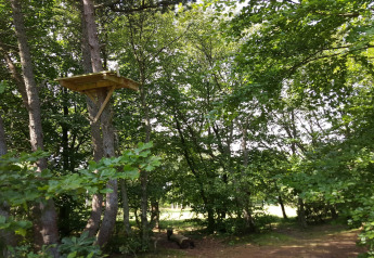 Piattaforma di casa sull’albero tra alberi verdi vicino a una casa vacanza per 10 persone a Hadsund, Danimarca.