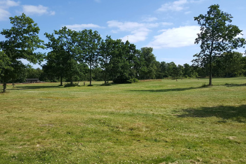 Open grasveld met verspreide bomen en blauwe lucht bij 10-persoons vakantiehuis in Hadsund, Denemarken.