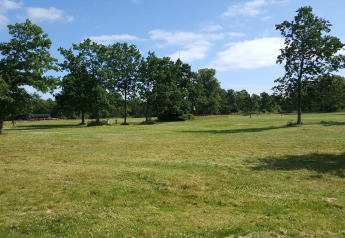 Open grasveld met verspreide bomen en blauwe lucht bij 10-persoons vakantiehuis in Hadsund, Denemarken.