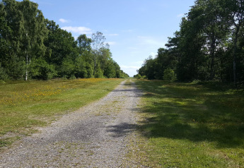 Grindpad tussen grasvelden en bomen bij het 10-persoons vakantiehuis in Hadsund, Denemarken op een zonnige dag.
