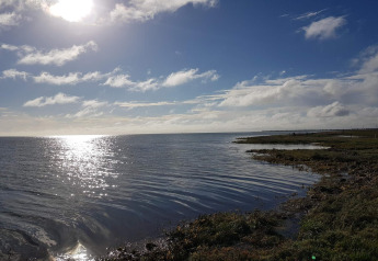 Zonnig uitzicht op de kust bij Hadsund, Denemarken, genomen vanuit 10-persoons vakantiehuis.