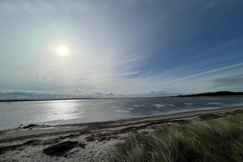 Zonnig uitzicht op het strand en de zee bij '10-persoons vakantiehuis in Hadsund', Denemarken, met grasduinen op de voorgrond.