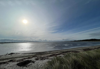 Sonniger Blick auf den Strand und das Meer am „10 Personen Ferienhaus in Hadsund“ in Dänemark mit Dünen im Vordergrund.