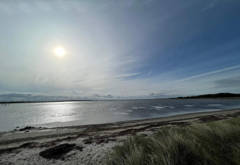 Zonnig uitzicht op het strand en de zee bij '10-persoons vakantiehuis in Hadsund', Denemarken, met grasduinen op de voorgrond.