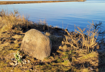 Gedenksteen met inscriptie aan het water in Hadsund, Denemarken, omgeven door gras en bloemen.