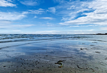 Peaceful seashore view at low tide under a blue sky near '10 person holiday home in Hadsund', Denmark.