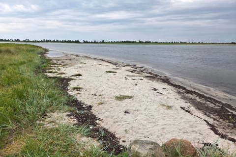 Zandstrand met gras en water bij het 10-persoons vakantiehuis in Hadsund, Denemarken, onder een bewolkte lucht.
