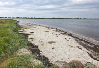 Spiaggia sabbiosa con erba e acqua vicino alla casa vacanze per 10 persone a Hadsund, Danimarca, con cielo nuvoloso.