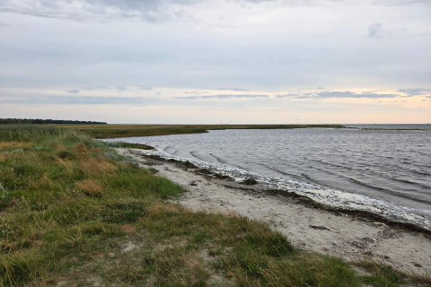 Küstenlandschaft beim 10-Personen-Ferienhaus in Hadsund, Dänemark mit Strand, Wasser und Wiese.