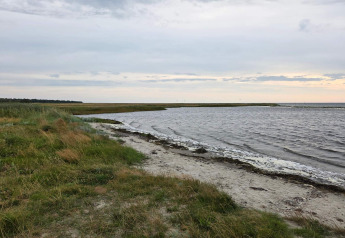 Kustzicht bij het 10-persoons vakantiehuis in Hadsund, Denemarken met strand, water en grasvelden.