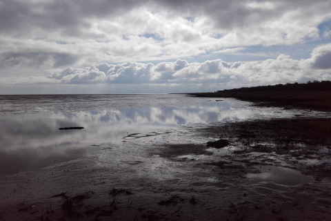 Cielo nuvoloso riflesso sulla riva tranquilla vicino alla casa vacanze per 10 persone a Hadsund, Danimarca.
