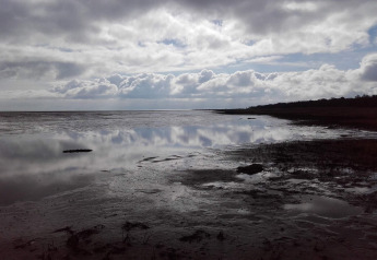Bewolkte lucht en rustige kust bij het 10-persoons vakantiehuis in Hadsund, Denemarken.