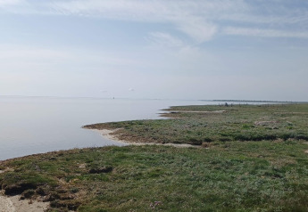 Rustige oever en groene weide bij het 10-persoons vakantiehuis in Hadsund, Denemarken.