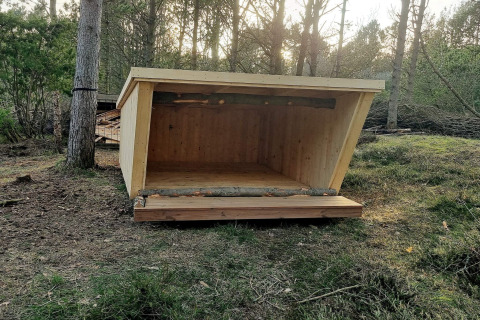Rifugio in legno nel bosco vicino a casa vacanze per 8 persone ad Ålbæk, Danimarca, tra gli alberi.
