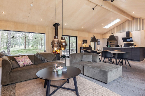 Modern vakantiehuis voor 8 personen in Ålbæk, Denemarken, met open leefruimte, haard en grote ramen.