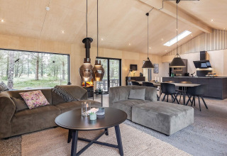 Casa vacanze moderna per 8 persone ad Ålbæk, Danimarca, con soggiorno accogliente, camino e grandi finestre.
