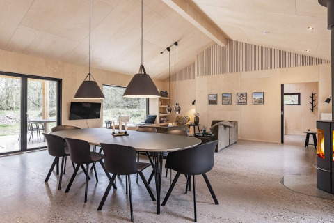 Helles, modernes Wohnzimmer in einem Ferienhaus in Ålbæk, Dänemark, mit Esstisch und Kamin.
