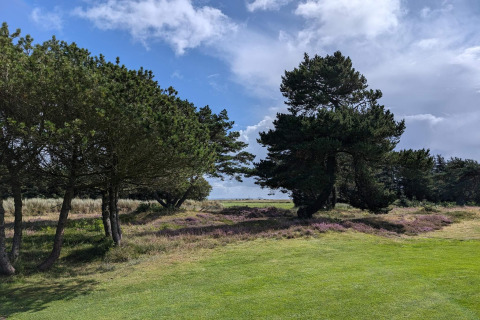 Udsigt over grønne marker og træer med blå himmel, taget fra Seaside Escape i Ho Bay, Danmark.