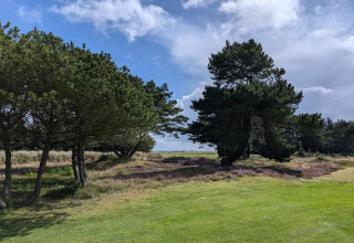 Scenic view of grassy field and trees under a blue sky at Seaside Escape in Ho Bay, Denmark.