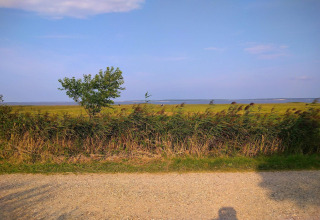 Vue depuis la cabane « Seaside Escape in Ho Bay » au Danemark avec champ, arbre et mer à l’horizon.
