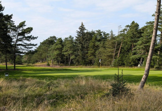 Zicht op een groene golfbaan omgeven door bomen, genomen bij Seaside Escape in Ho Bay, Denemarken.