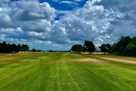Lush green field and trees beneath dramatic clouds at Seaside Escape in Ho Bay, Denmark.