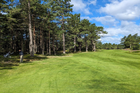 Un golfeur près des bois au 'Seaside Escape in Ho Bay', Danemark, sur un fairway verdoyant.