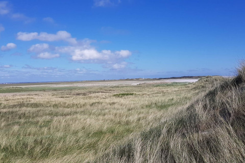 Udsigt over græsbeklædte klitter og åbent landskab ved Seaside Escape i Ho Bugt, Danmark.