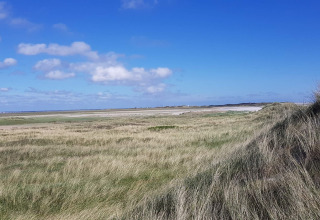 Blick auf grasbewachsene Dünen und offene Landschaft bei Seaside Escape in der Ho-Bucht, Dänemark.