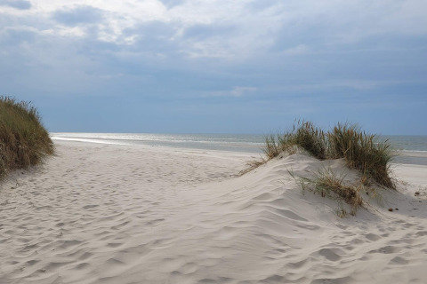 Sand dunes and beach grass at Ho Bay, Denmark, viewed near the Seaside Escape cabin by the shore.