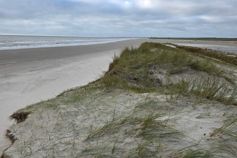 Strand- en duinenzicht bij 'Seaside Escape in Ho Bay', Denemarken, onder een bewolkte hemel aan zee.