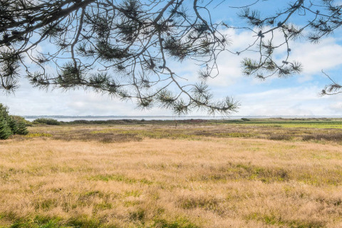 Zicht vanaf de cabin 'Seaside Escape in Ho Bay' in Denemarken met weiden en blauwe lucht.