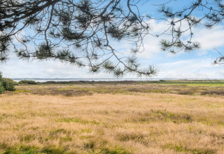Blick von der 'Seaside Escape in Ho Bay' Hütte in Dänemark auf Wiesen, Küste und blauen Himmel.