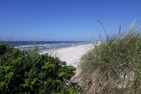Blick auf einen weißen Sandstrand mit Dünen beim Seaside Escape in Ho Bay, Dänemark, bei blauem Himmel.