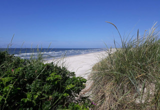 Blick auf einen weißen Sandstrand mit Dünen beim Seaside Escape in Ho Bay, Dänemark, bei blauem Himmel.