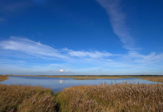 Udsigt over Ho Bugt fra 'Seaside Escape', Danmark, med blå himmel, siv og fredelig vand i forgrunden.