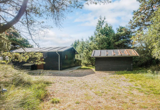 Hyggelig sort træhytte og skur omgivet af træer ved Seaside Escape i Ho Bugt, Danmark, på en solrig dag.