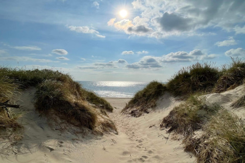 Sentiero tra dune sabbiose verso il mare a Ulfborg, Danimarca, sotto un cielo azzurro e soleggiato.