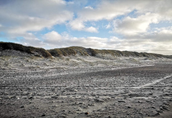 Sanddünen und blauer Himmel nahe dem 8-Personen-Ferienhaus in Ulfborg, Dänemark, mit Naturkulisse.