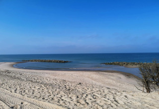 Vista spiaggia dal "casa vacanze per 8 persone a Ulfborg", Danimarca, con sabbia e mare azzurro.