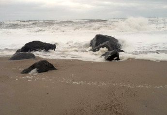 Udsigt over bølger, der slår ind mod klipper på stranden ved 8-personers feriehus i Ulfborg, Danmark.