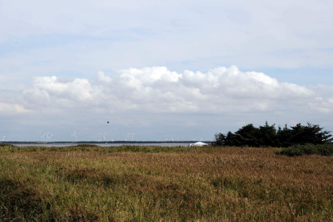 Grasland en meer met windmolens bij 8-persoons vakantiehuis in Ulfborg, Denemarken, bewolkte lucht.