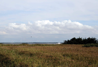 Grassy field and lake with wind turbines near 8 person holiday home in Ulfborg, Denmark, cloudy sky.