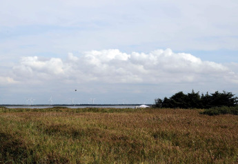 Wiese mit See und Windrädern am 8-Personen-Ferienhaus in Ulfborg, Dänemark, unter bewölktem Himmel.