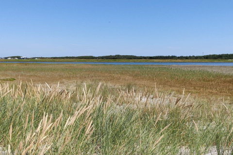 Udsigt over marskland, græs og sø blå himmel ved 6 personers feriehus i Hadsund, Danmark, på en solrig dag.