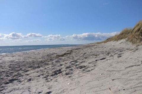 Ampia spiaggia sabbiosa con dune e vista mare vicino a '6 person holiday home in Hadsund', Danimarca.