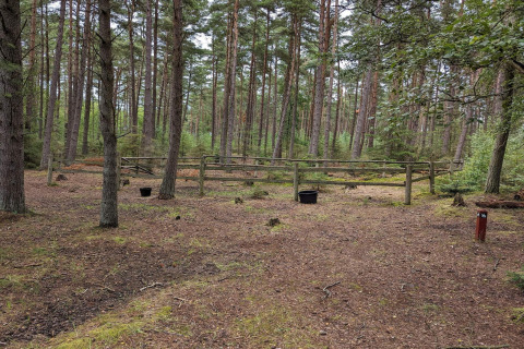 Indhegnet område i skov ved '6 personers feriebolig i Hadsund', Danmark, med træer og spande.