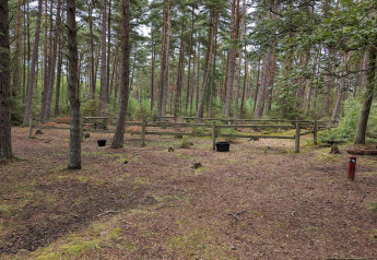 Indhegnet område i skov ved '6 personers feriebolig i Hadsund', Danmark, med træer og spande.