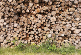 Großer Stapel geschnittener Holzstämme im Freien am Ferienhaus '6 person holiday home in Hadsund' in Dänemark.