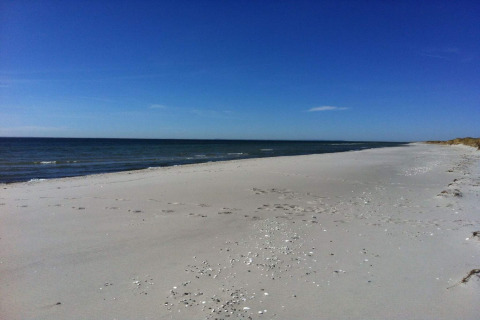 Spiaggia sabbiosa deserta vicino a Hadsund, Danimarca, con mare calmo e cielo blu limpido.